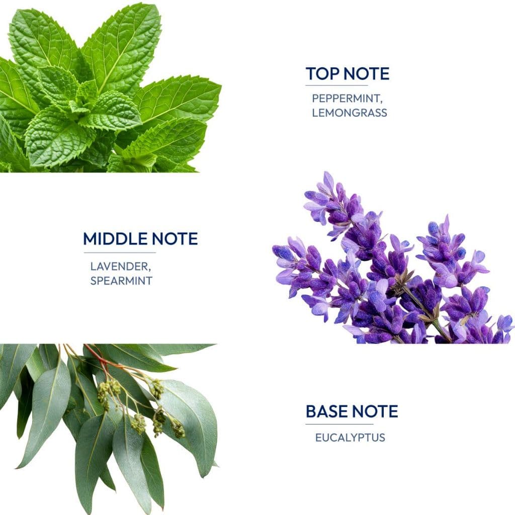 Kraam Aromage Mentha Rica Body Oil 200 ml อโรเมจ เมนธาริก้า บอดี้ ออยล์ กลิ่นเมนธาริก้า ผิวชุ่มชื้น + ลดเลือนริ้วรอย รูปที่ 6
