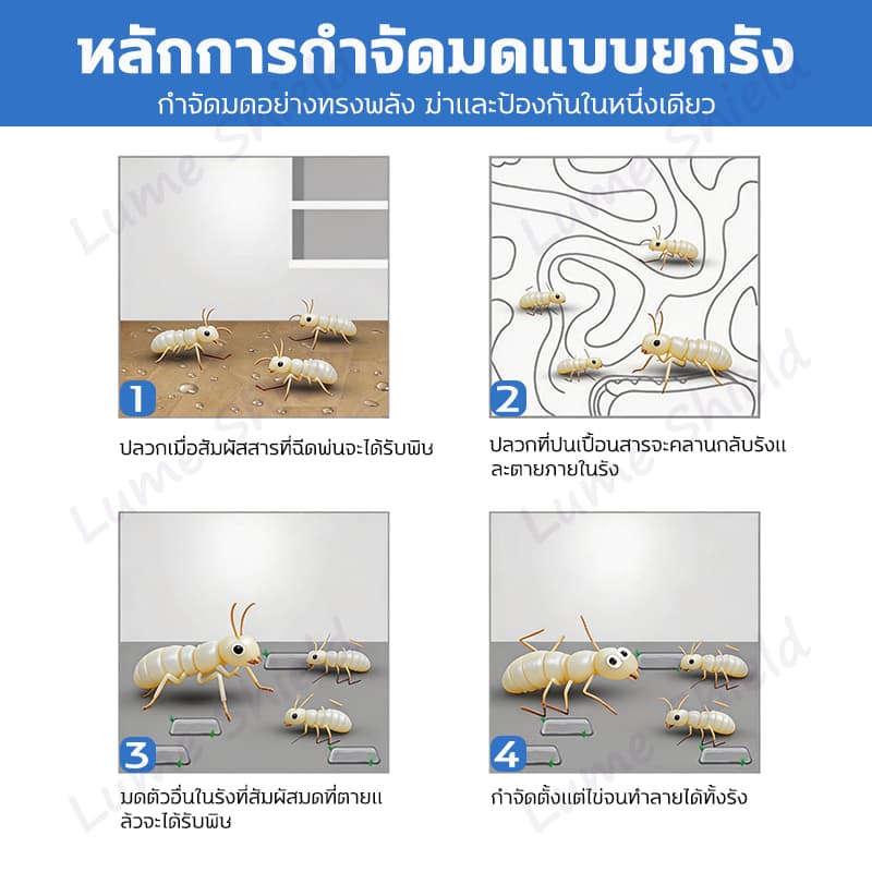 สเปรย์กำจัดปลวก 580ML ฆ่าปลวก ป้องกันปลวก ป้องกันยาวนาน ปกป้องบ้านให้ปลอดภัย LumeShield รูปที่ 6