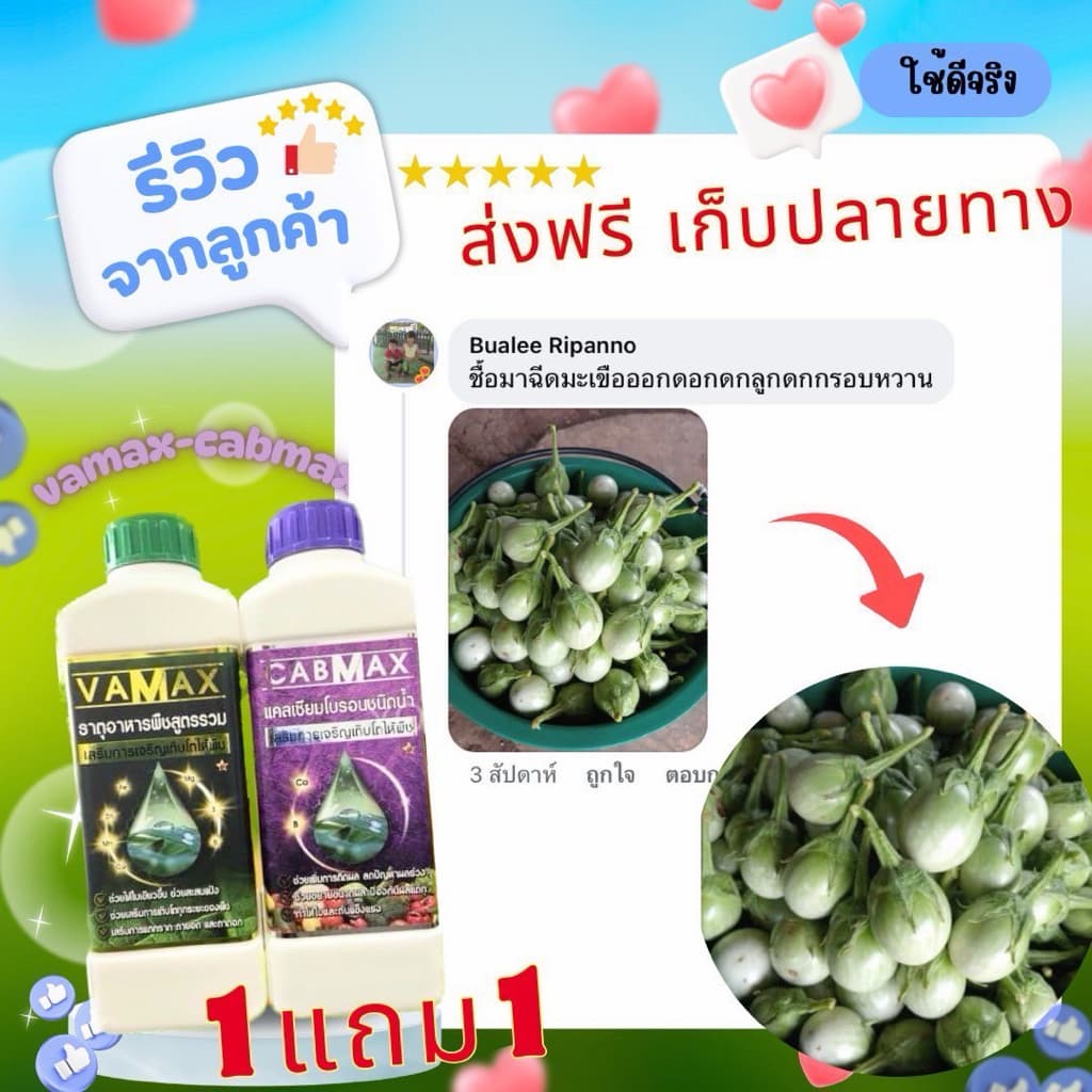 ปุ๋ย CABMAX และ VAMAX จัดโปรสุดคุ้มพิเศษ 1แถม1 ราคาพิเศษ290บาท ทั่วไทย รูปที่ 3