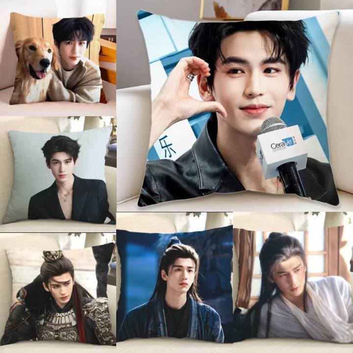 Pre Order หมอน จางหลิงเฮ่อ ล่าหยก​ หมอน+ปลอกรอของ25-30วันค่ะ รูปที่ 1