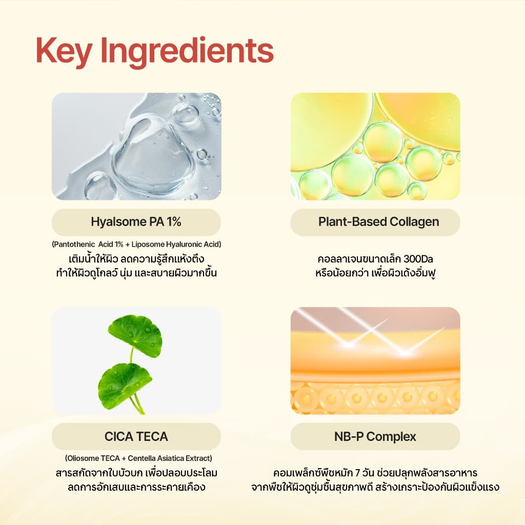 ONGREDIENTS Skin Barrier Calming Lotion EX ขนาด 150 ml + Mask Box รูปที่ 4