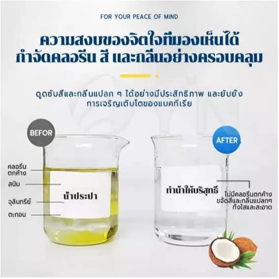 ไส้กรองน้ำแอมเวย์ eSpring Amway ของแท้ ของแท้/ช็อปไทย Amway shop รูปที่ 3