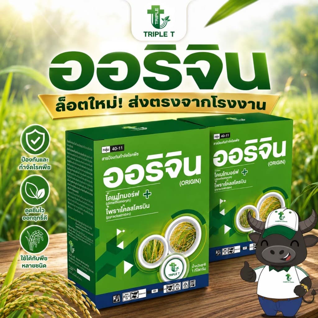 ออริจิน สารป้องกันกำจัดเชื้อรา ไดเมโทมอร์ฟ + ไพราโคลสโตรบิน ป้องกันโรคราน้ำค้าง ใบไหม้ ทุเรียน รูปที่ 1