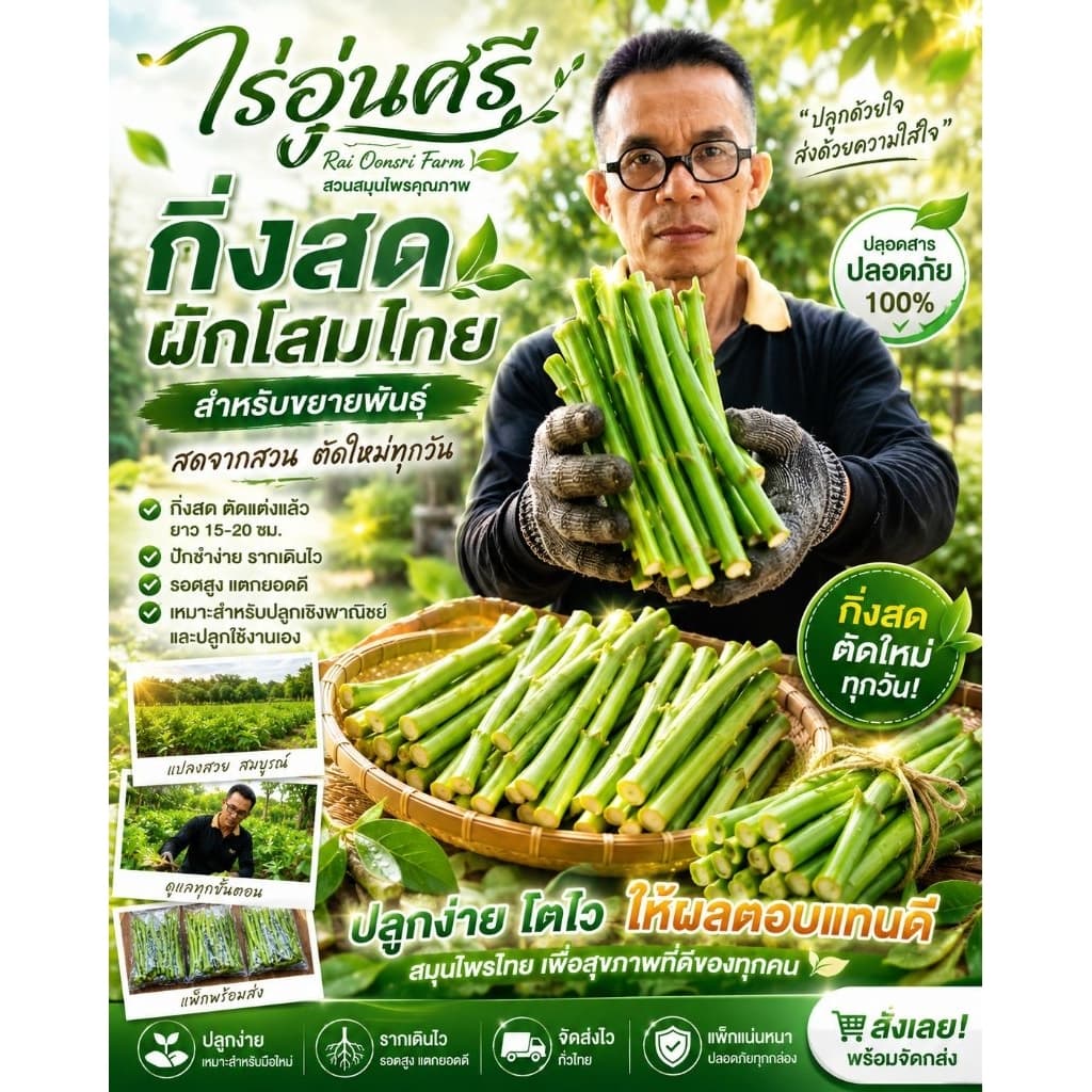กิ่งละ 3 บาท! โสมไทยกิ่งสด พร้อมปักชำ ชุด 20 กิ่ง 50 บาท จากไร่อุ่นศรี รูปที่ 6