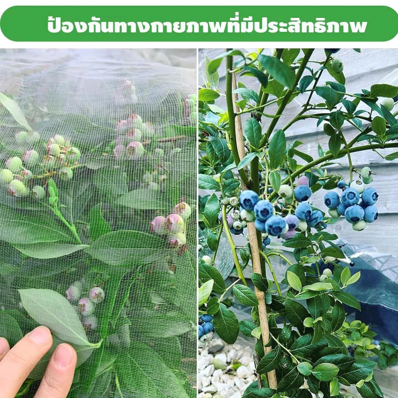 มุ้งขาวกันแมลง มุ้งขาว มุ้งขาวโรงเรือน 32ตา/40ตา/60ตา มุ้งกันแมลงผัก ตาข่ายกันแมลง มุ้งโรงเรือน กันแมลง มุ้งปลูกผัก รูปที่ 5
