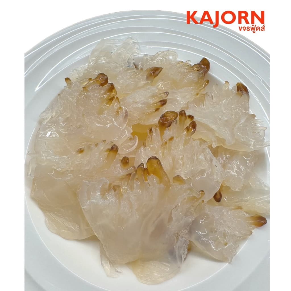 ขาแมงกะพรุน KAJORN ขจรฟู้ดส์ รูปที่ 3