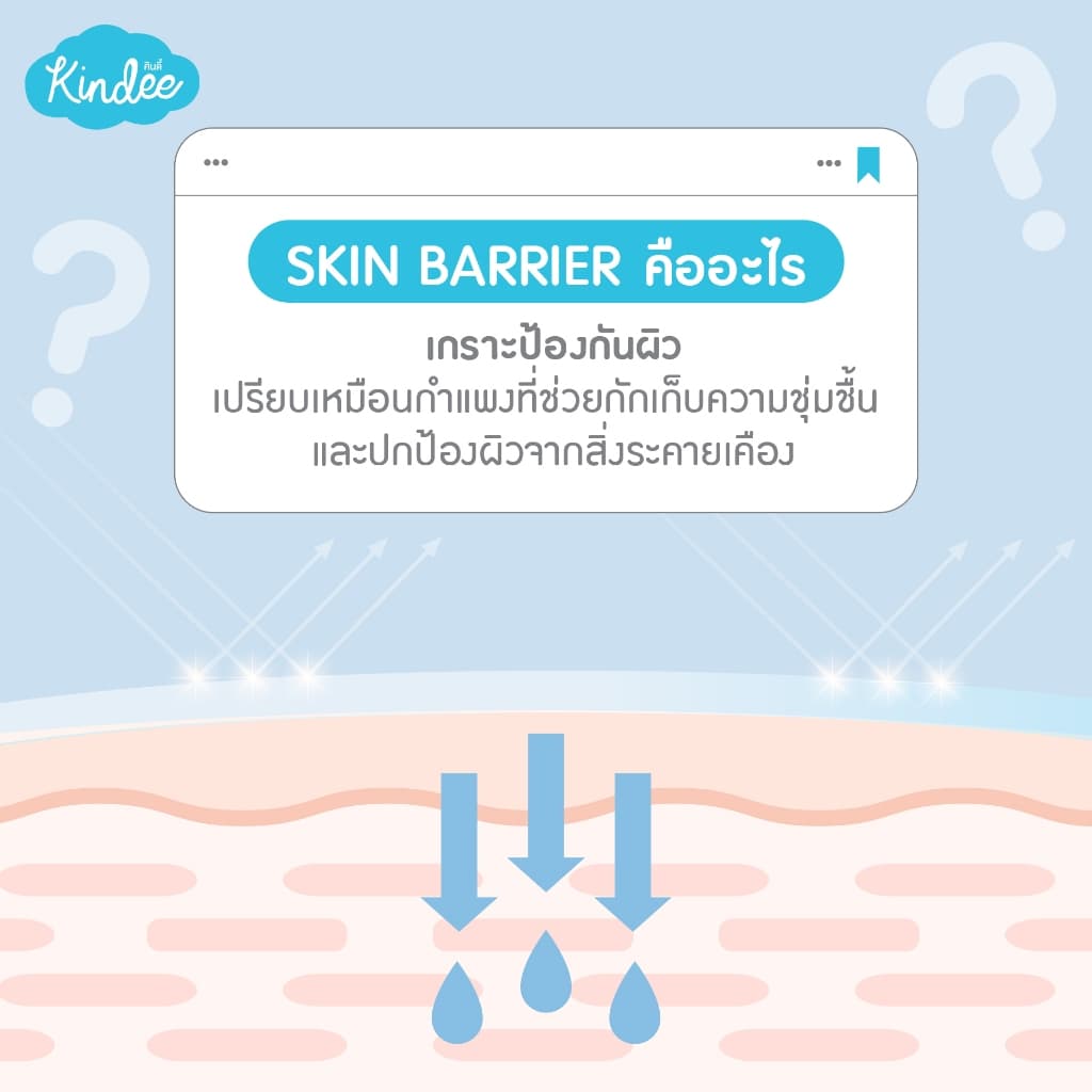 Kindee คินดี้ โลชั่นกันแดด ออร์แกนิค SPF50+ PA++++ และคินดี้ เบบี้ โลชั่น เนื้อวีปครีม รูปที่ 5