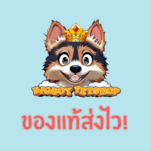 Hill's k/d Feline Kidney Care อาหารแมวโรคไต รสไก่ ชนิดเม็ด ดูแลการทำงานของไต 1.81kg รูปที่ 4