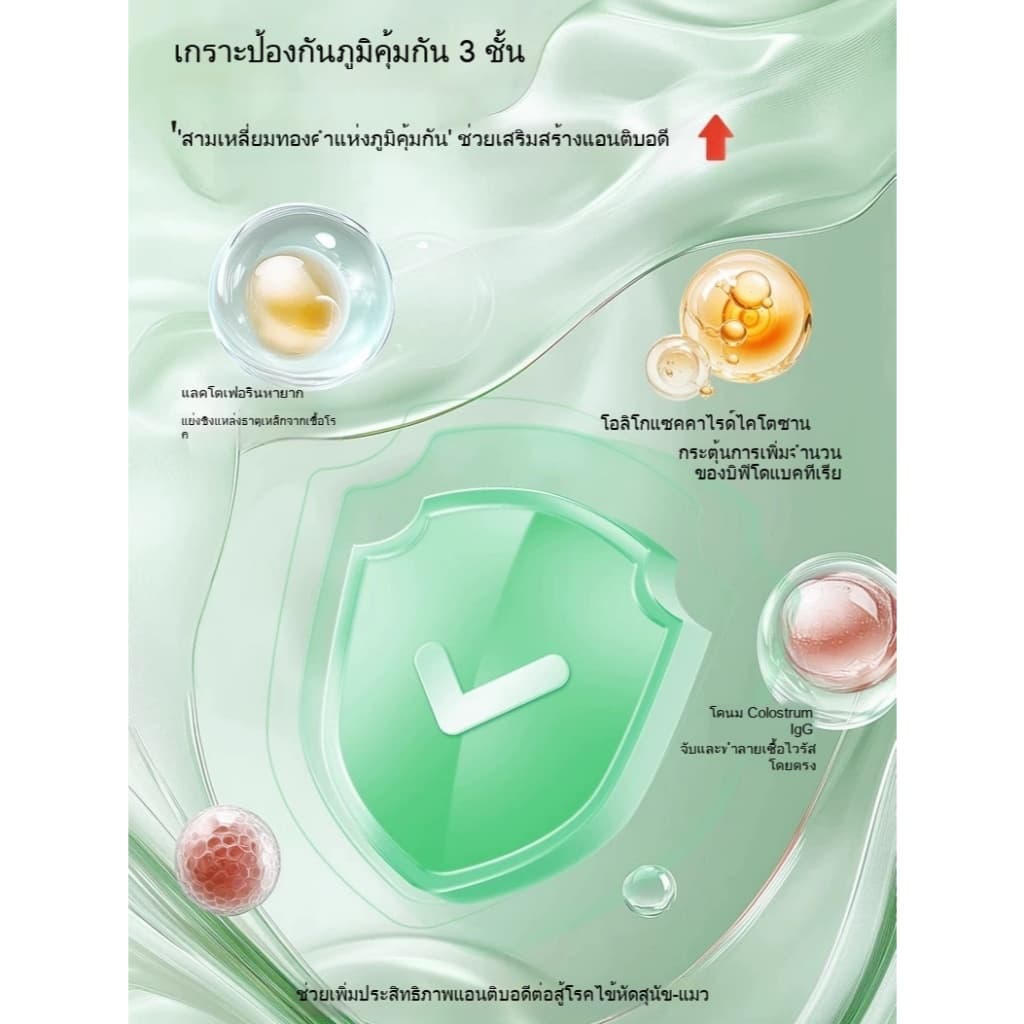 KetzuzuPet อาหารเสริมสำ วิตามิน 14g รูปที่ 5