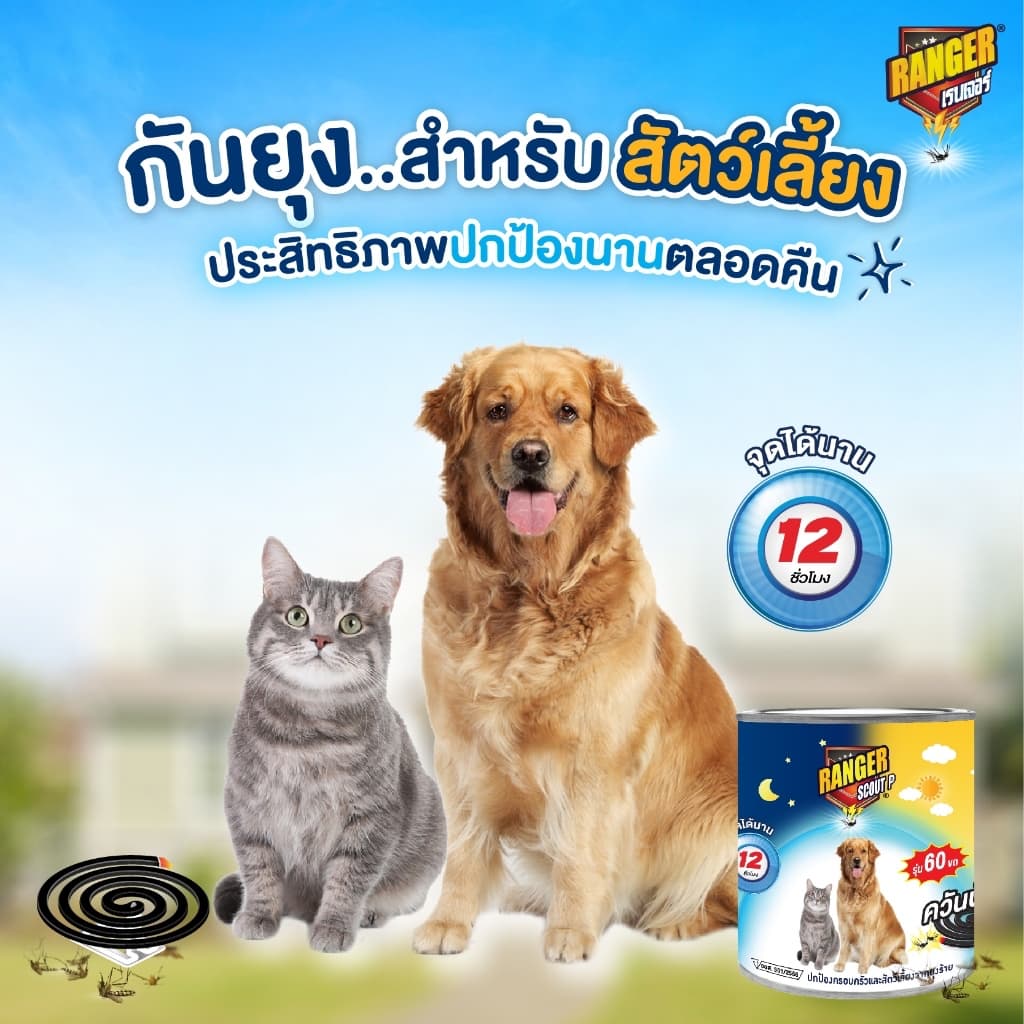 เรนเจอร์ พี ยากันยุงควันน้อย 12 ชม 60 ขด + ตะแกรง 111S007 รูปที่ 4