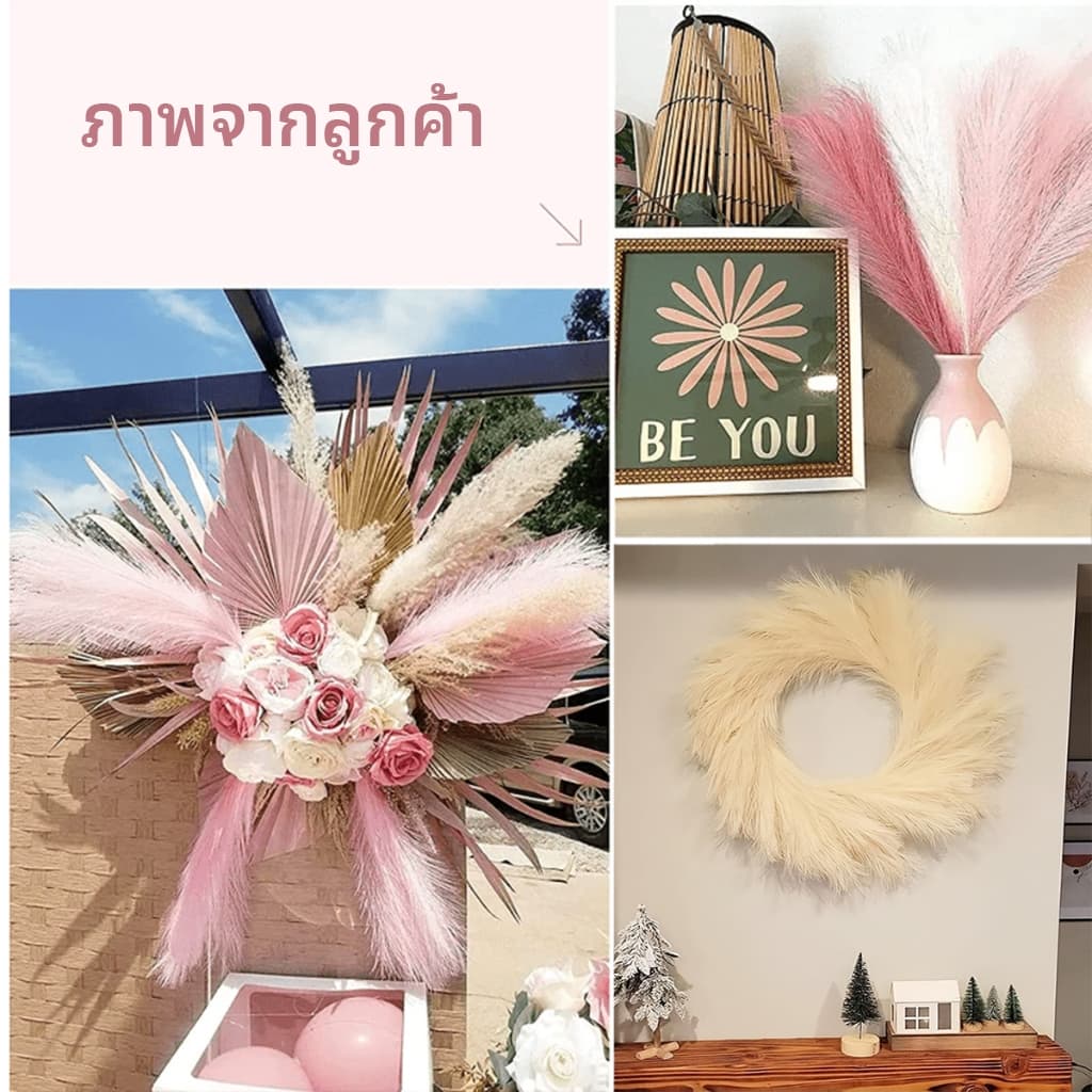 12 ชิ้น ช่อหญ้าปลอม หญ้าแพมพาส หญ้าเทียม ต้นหญ้าแห้ง หญ้าคา ช่อหญ้าสี ดอกเลา ดอกไม้ปลอมpampas คริสต์มาส ตกแต่งบ้าน รูปที่ 6