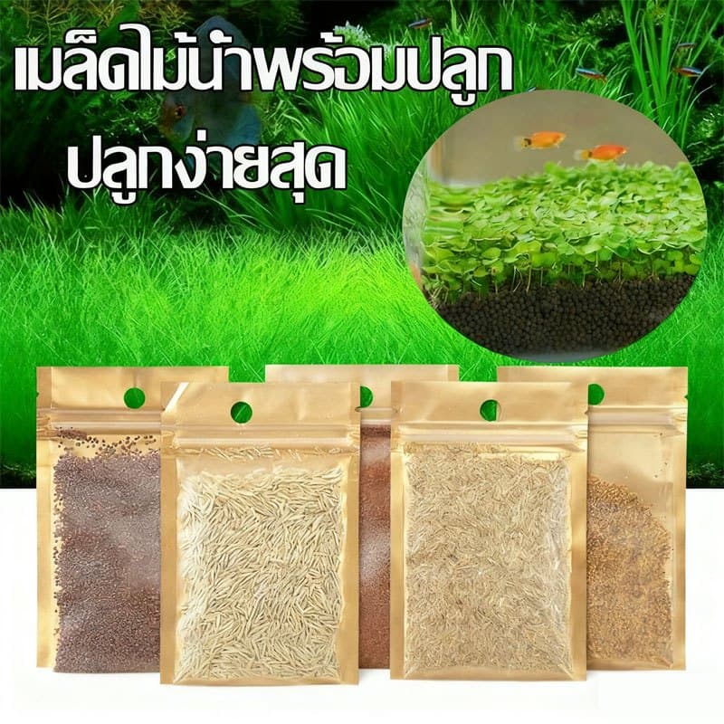 เมล็ดไม้น้ำ หญ้าไม้น้ำ ดินปลูกไม้น้ำ เมล็ดพันธุ์ไม้น้ำ ปลูกตกแต่งตู้ปลา เลี้ยงปลา รูปที่ 1