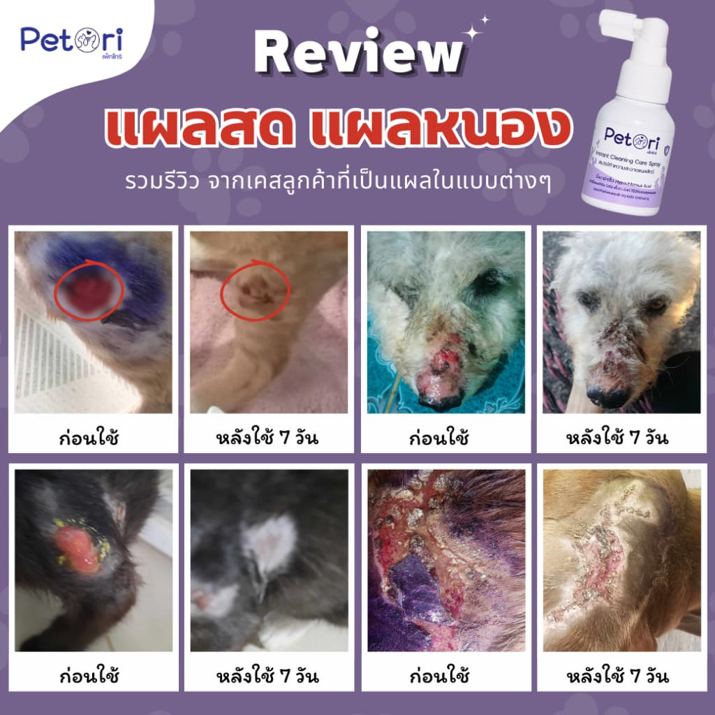 ใช้ดีแผลแห้งเร็ว Petori 50 ml สเปรย์พ่นแผลสด แผลหนอง เชื้อรา ผื่นแดง คันเกา หมาแมวกระต่าย Exotic Pet รูปที่ 3