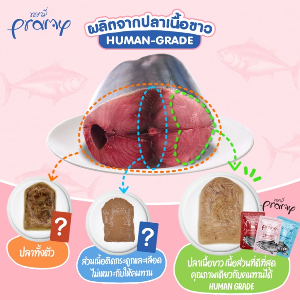 PRAMY พรามี่ อาหารเปียกแมว สูตรลูกแมว สูตรแมวโต สูตรแมวสูงวัย ขนาด 70 กรัม รูปที่ 4