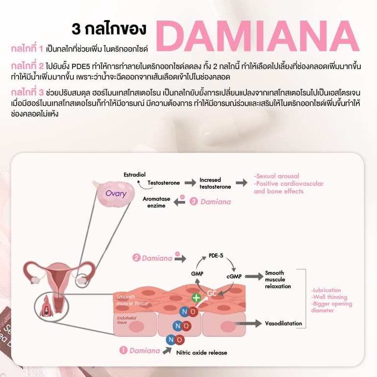 LASSIE Damiana Dietary Supplement NEW WOMEN อาหารเสริมผู้หญิง ช่วยเสริมสมดุลฮอร์โมน 42 แคปซูล รูปที่ 4