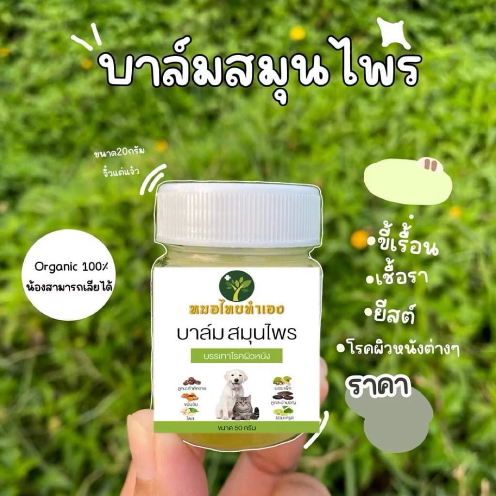 ครีมบาล์มสมุนไพร บรรเทาโรคผิวหนัง ขี้เรื้อนสุนัข แมว เชื้อรา ยีสต์ คันเกา (มี อย ถูกต้อง) 20 กรัม หมอไทยทำเอง