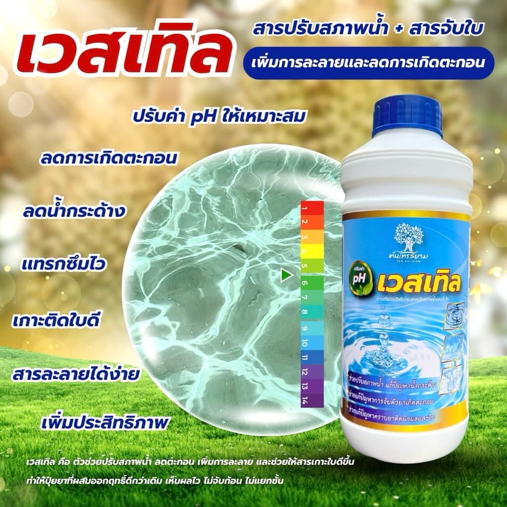 เวสเทิล สารปรับสภาพน้ำ+สารจับใบ ช่วยปรับสภาพน้ำลดการเกิดตะกอน ช่วยเพิ่มประสิทธิภาพสารเกาะติดใบพืชได้ดี ปรับค่า pH ในน้ำ รูปที่ 3