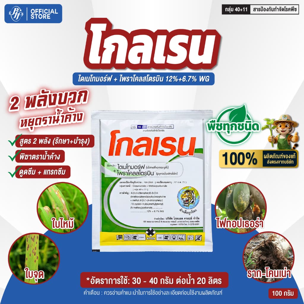 โกลเรน 100 กรัม ไดเมโทมอร์ฟ + ไพราโคลสโตรบิน ยอดเน่า ผลเน่า ใบจุด ราแป้ง ช่อดำ โรคไฟทอป รูปที่ 1