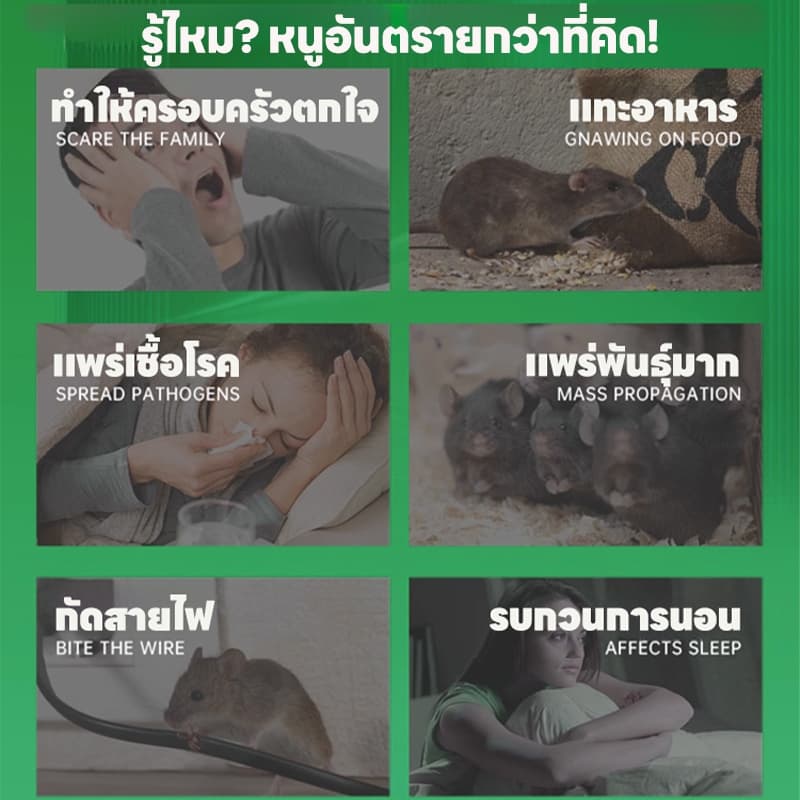 ตัวเลือกไล่หนูที่ดีที่สุด TIA ไล่หนู เจลไล่หนู ปลอดภัย ไม่มีสารพิษ ซื้อ 1 แถม 1 โปรโมชั่นหลากหลาย รูปที่ 2