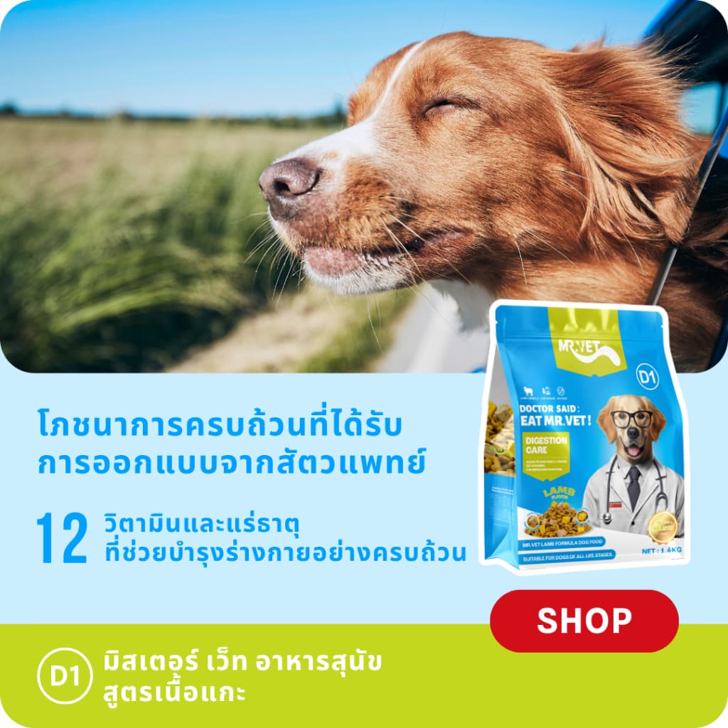MrVet อาหารสุนัข D1 Holistic Premium 1.4kg สูตรเนื้อแกะ ดูแลระบบย่อยอาหาร เหมาะสำหรับทุกช่วงวัย รูปที่ 3