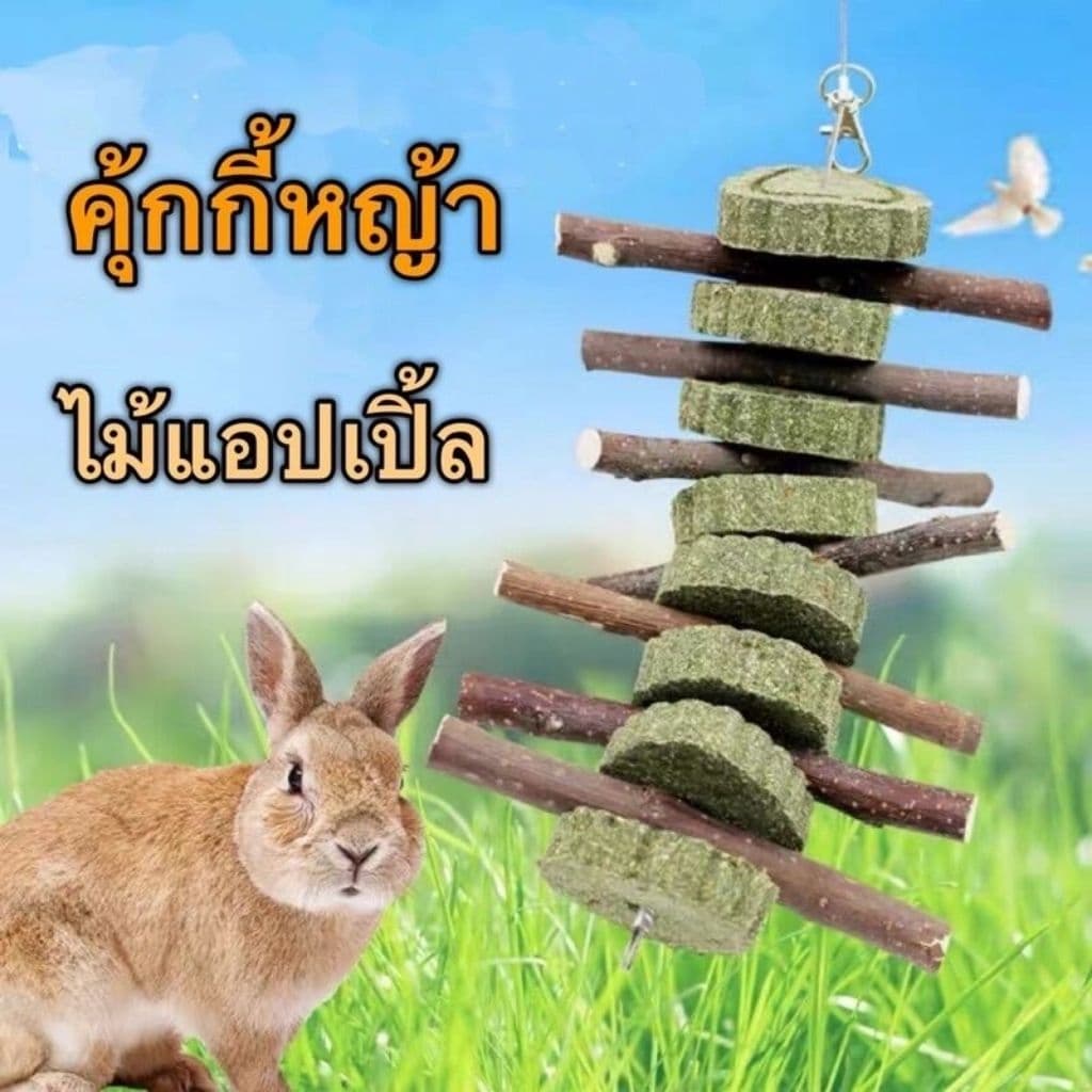โมบายคุ้กกี้ทิโมธี คุ้กกี้หญ้า สำหรับสัตว์ฟันแทะ ของเล่นคลายเครียด รูปที่ 1
