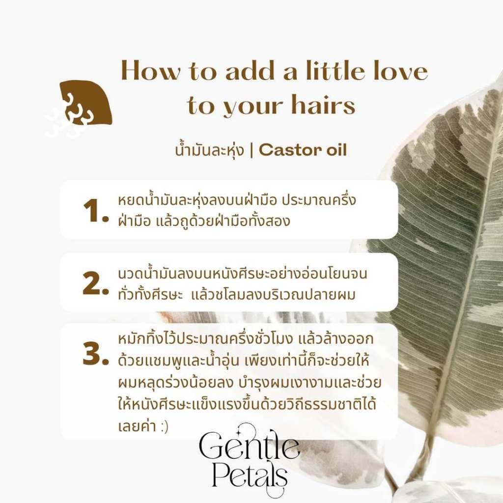 ทรีทเมนท์บำรุงผม เพียงหมักแล้วสระ ลดผมร่วง ทรีทเม้นท์บำรุงผม น้ำมันละหุ่ง ออยล์บำรุงผม ลดรังแค รูปที่ 8