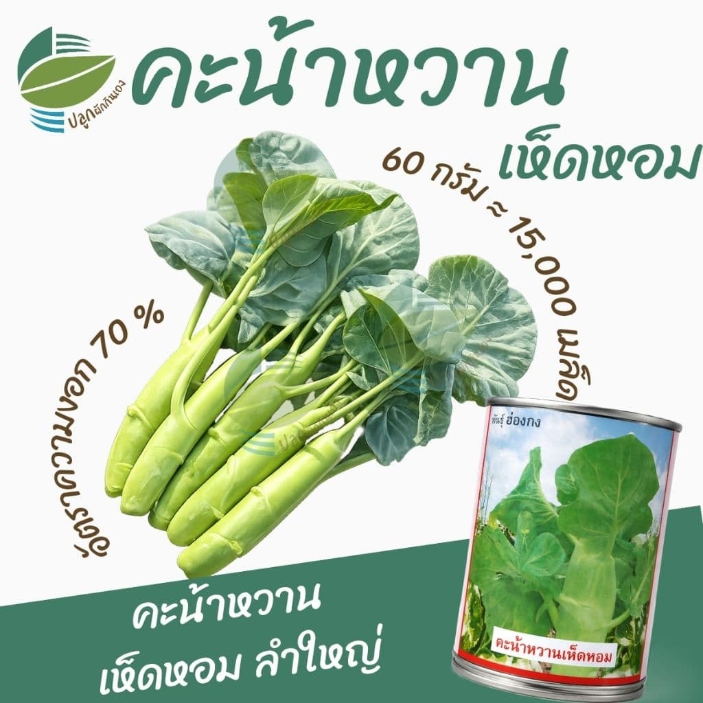เมล็ดพันธุ์ คะน้าเห็ดหอม ตราลูกโลก รูปที่ 1