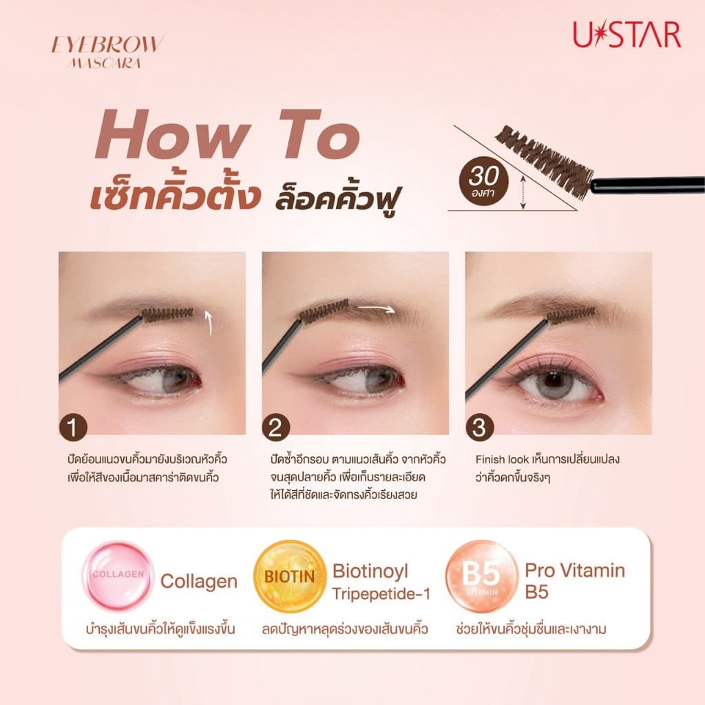 Ustar Eyebrow Mascara มาสคาร่าคิ้ว มาสคาร่าปัดคิ้ว มาสคาร่าปัดขนคิ้ว ที่ย้อมคิ้วโทนน้ำตาล ล็อคคิ้วแน่น อายบราวมาสคาร่า รูปที่ 7