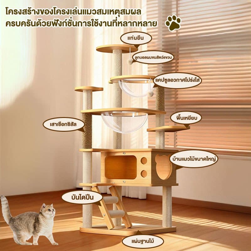 L&Q คอนโดแมว 3 in 1 คอนโดไม้แมว145cm บ้านแมวใหญ่ ของเล่นแมว เหมาะกับแมวหลายตัว ปีน-นอน-เล่น รูปที่ 4