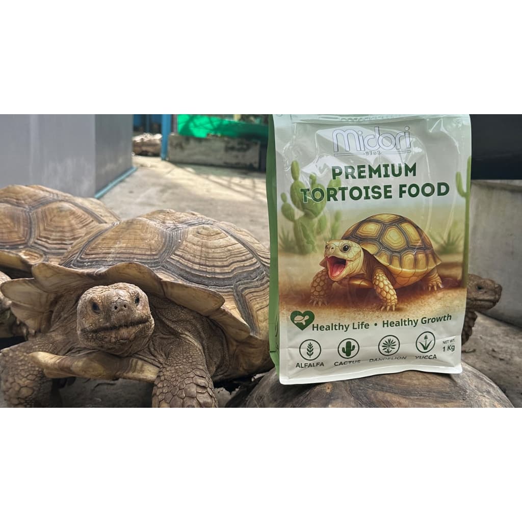 อาหารเต่าบก สูตรกระบองเพชร Midori Zoo Premium Tortoise Food อาหารเต่าบกมิโดริ อาหารเต่าซูคาต้า เต่าบกทุกสายพันธุ์ รูปที่ 6