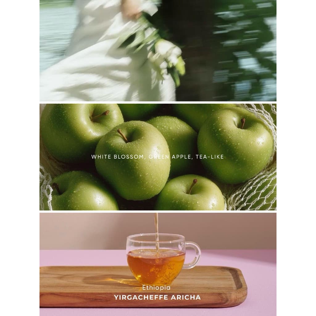 ANNIE - Ethiopia Yirgacheffe Aricha Adorsi Washed คั่วอ่อน รูปที่ 2