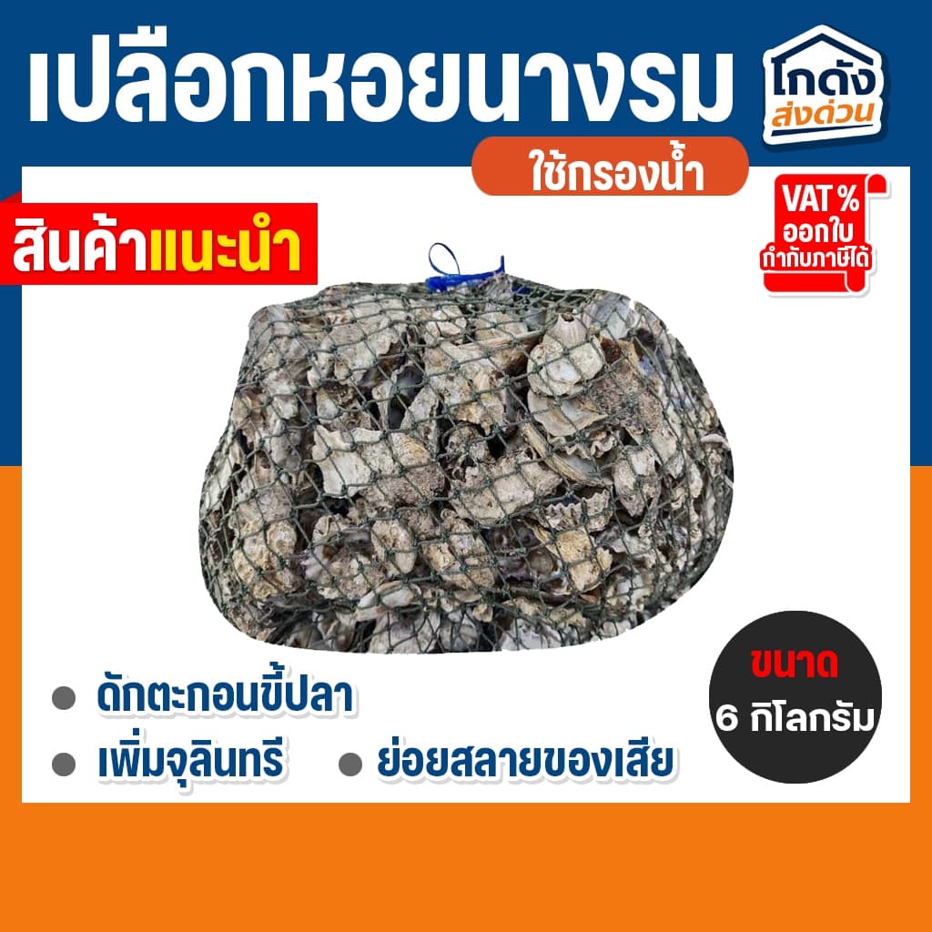 เปลือกหอยนางรม 6 kg.ใส่ถุงตาข่ายอวนเขียว พร้อมใช้งาน รูปที่ 1