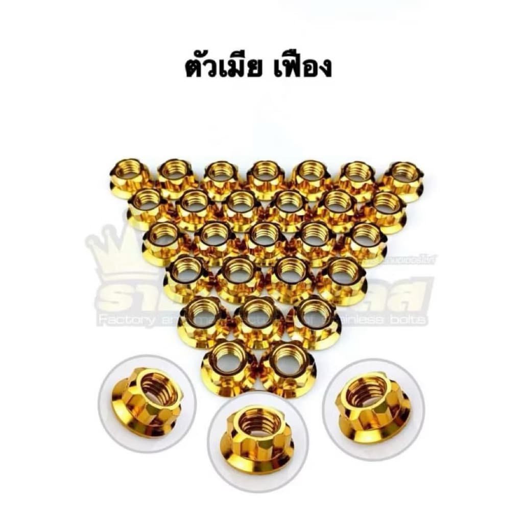 น๊อตตัวเมีย เลสเมีย ลายเฟือง #8 10 12 14 17 19 สแตนเลส ทอง ไทเท ราคาต่อตัว รูปที่ 5