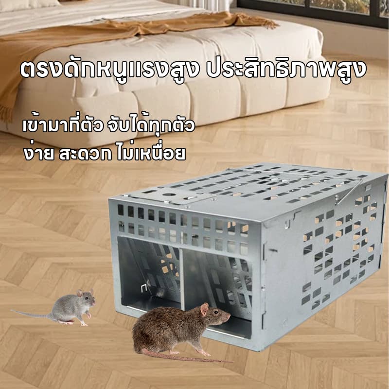 กับดักหนูสองประตู กับดักหนู กรงดักหนู ใหม่ อุปกรณ์ดักจับหนูที่มีประสิทธิภาพ กับดักและกำจัดหนูทรงพลัง แบบจับต่อเนื่องได้ รูปที่ 8