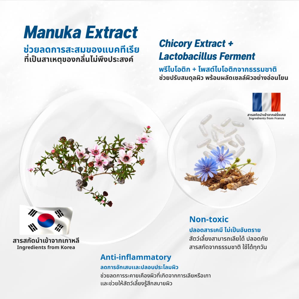 Goodboss Manuka Cleansing Foam โฟมเช็ดทำความสะอาดผิว สำหรับหมาเเมว ลดคัน เเบคทีเรีย ผลิตภัณฑ์ออแกนิค รูปที่ 7