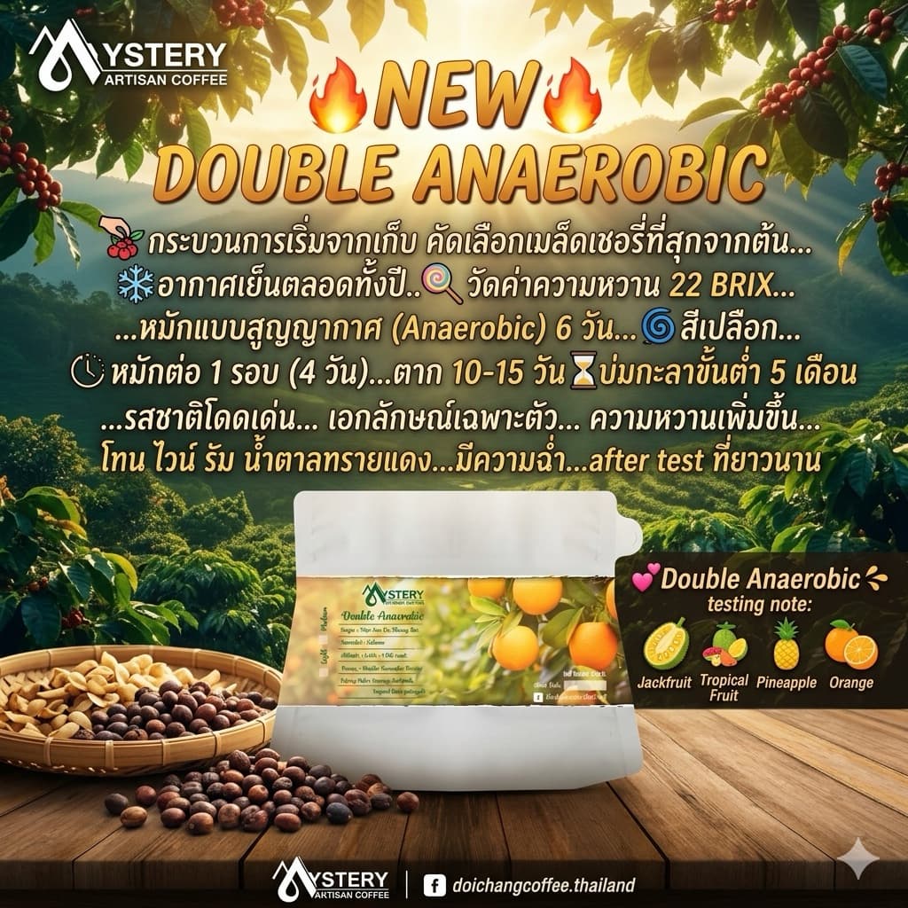 double Anaerobic รูปที่ 9