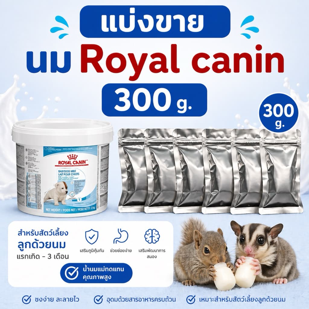 Royal canin baby dog milk 100 g. รอยัลคานิน นมผงทดแทน นมลูกสุนัข ชูการ์ไกลเดอร์ กระรอก แบ่งขาย 100 กรัม exp. 08/10/2026 รูปที่ 6