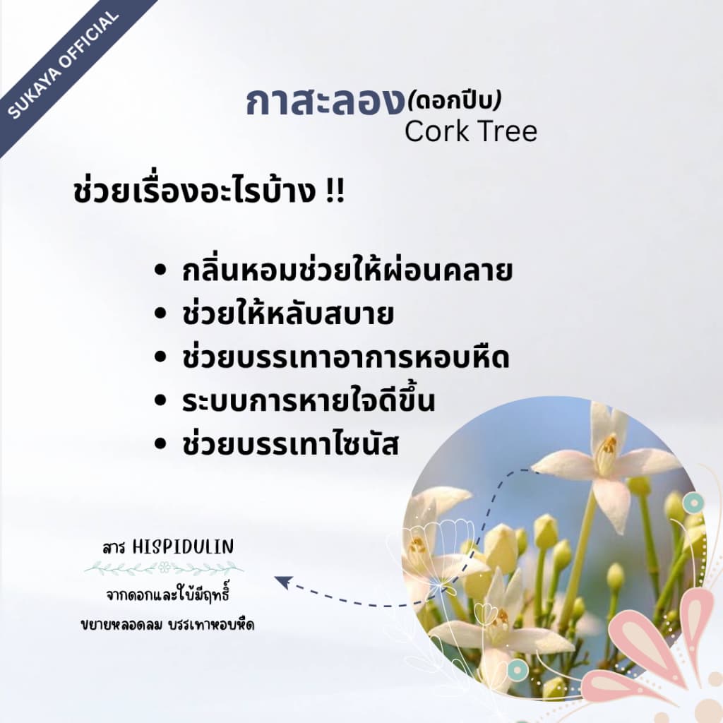 Sukaya น้ำมันนวดสุขกายะ <30ml> น้ำมันนวด น้ำมันนวดคลายเส้น น้ำมันนวดอโรมา น้ำมันสมุนไพร รูปที่ 4