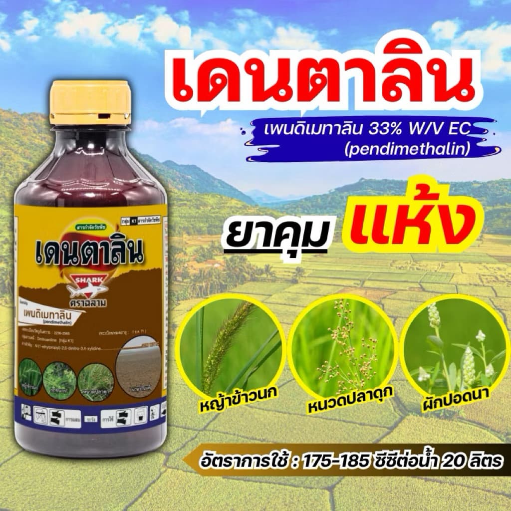 เดนตาลิน คุมแห้งนาข้าว สูตรเข้มข้นพิเศษ เพนดิเมทาลิน ฉีดสบาย ไม่เหม็น ไม่ติดถังฉีด 1 ลิตร รูปที่ 2