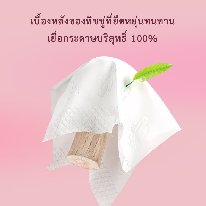 Botare ทิชชู่เช็ดหน้าอย่างดี 300 แผ่น หนา 3 ชั้น ขนาด 15/5 แพ็ค ทิชชูแบบดึง กระดาษทิชชู่เช็คหน้าได้ ทิชชู่เช็ดปาก รูปที่ 5