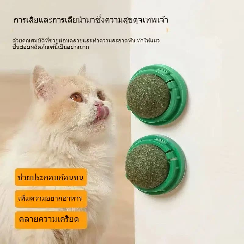 บอลกัญชาแมว ธรรมชาติ ของเล่นแมวลับฟัน ทำความสะอาดฟัน ทนกัด แมวเล่นเองแก้เบื่อได้ รูปที่ 2