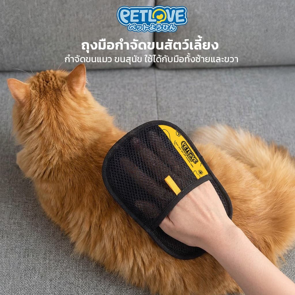 ถุงมือกำจัดขนสัตว์เลี้ยง PETLOVE กำจัดขนแมว ขนสุนัข ใช้ได้กับมือทั้งซ้ายและขวา สามารถใช้งานซ้ำได้หลายครั้ง รูปที่ 1