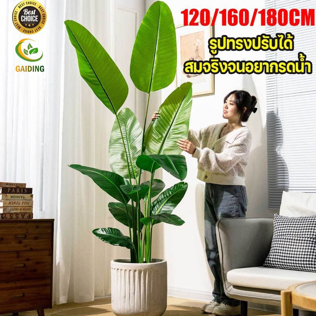 GAIDING 120/150/180cm ต้นไม้ปลอม ต้นไม้ปลอมใหญ่ ต้นมะกอกปลอม สไตล์นอร์ดิกอิน ไม่ต้องบำรุงรักษา รูปที่ 1