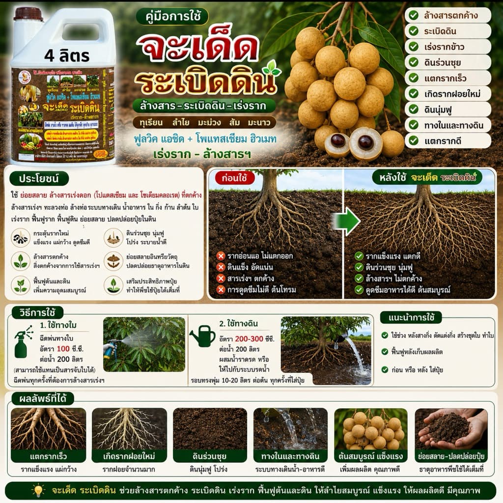 จะเด็ด ยกลัง 4 แกลลอน รูปที่ 7
