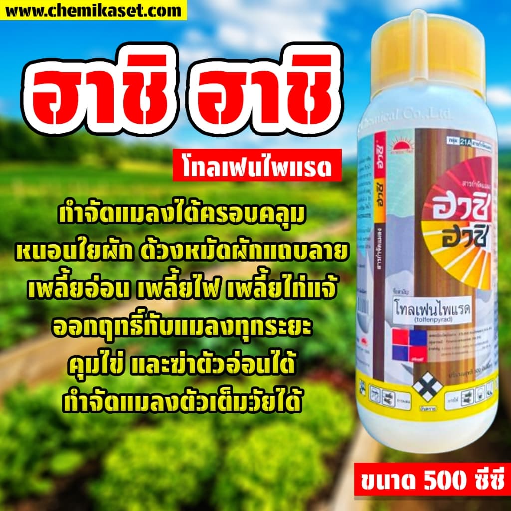 ฮาชิ ฮาชิ ขนาด 500 ซีซี โทลเฟนไพแรด กำจัดหนอนใยผัก ด้วงหมัด เพลี้ยไก่แจ้ เพลี้ยไฟ รูปที่ 1