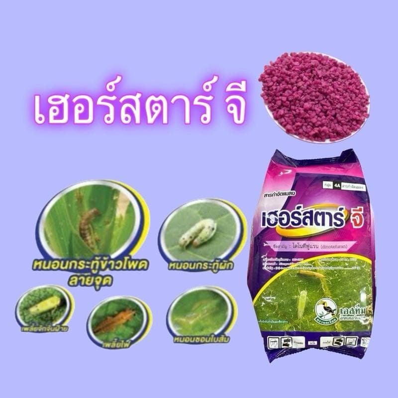 ขนาด 1 กก. เฮอร์สตาร์จี เอสทีม สารไดโนทีฟูแรน ป้องกันแมลง เพลี้ย กำจัดแมลงในดิน รูปที่ 3