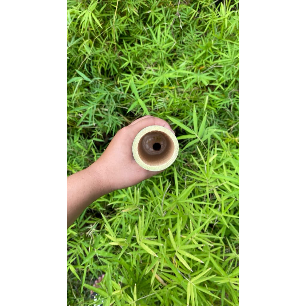 กระบอกไม้ไผ่ยิ้มแย้ม1ชิ้น สำหรับงานDIY แจกันและตกแต่ง ขนาด55-70cm หอมกลิ่นไผ่อ่อนๆตัดสดใหม่จากกอ รูปที่ 4
