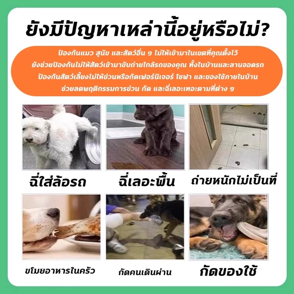 ผงไล่แมว 550g โรยง่าย ป้องกันแมวเข้าบ้าน กลิ่นธรรมชาติ ใช้งานได้นาน เหมาะสำหรับบ้านและสวน รูปที่ 2