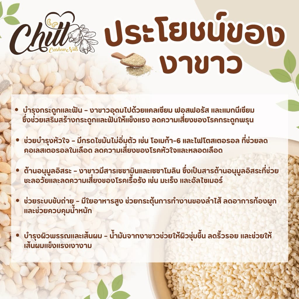 งาขาว ชนิดยังไม่คั่ว 100g. / 250g. / 500g. รูปที่ 2