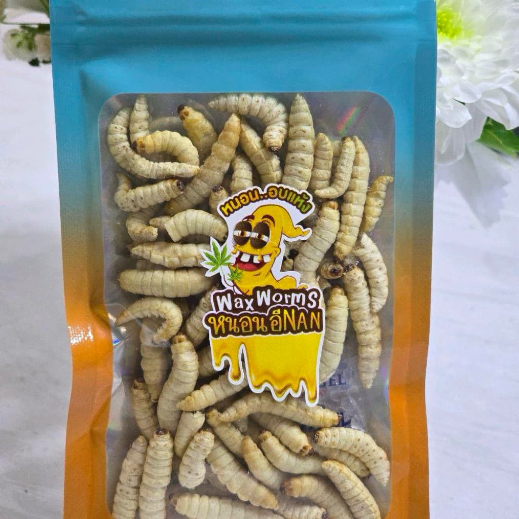 หนอนแว๊กฟรีซดราย หนอนน้ำผึ้ง หนอนแว๊กซ์ สำหรับชูก้า กระกรอก 10g. รูปที่ 1